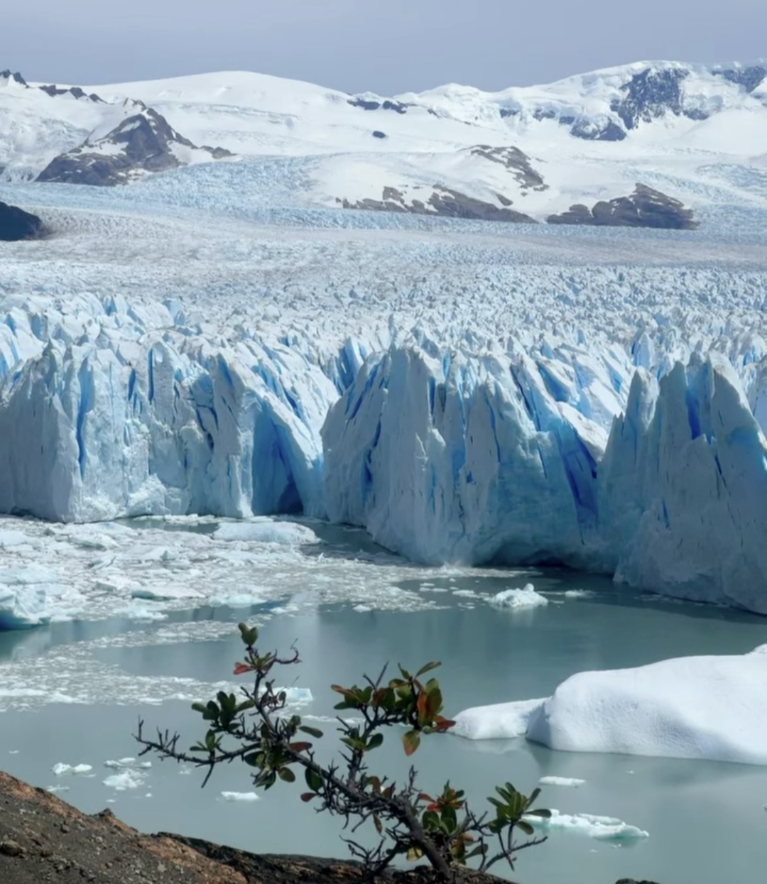Frente del Glaciar Perito Moreno con témpanos sobre el lago